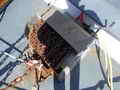 Troller Shrimp Trawler thumbnail image 5