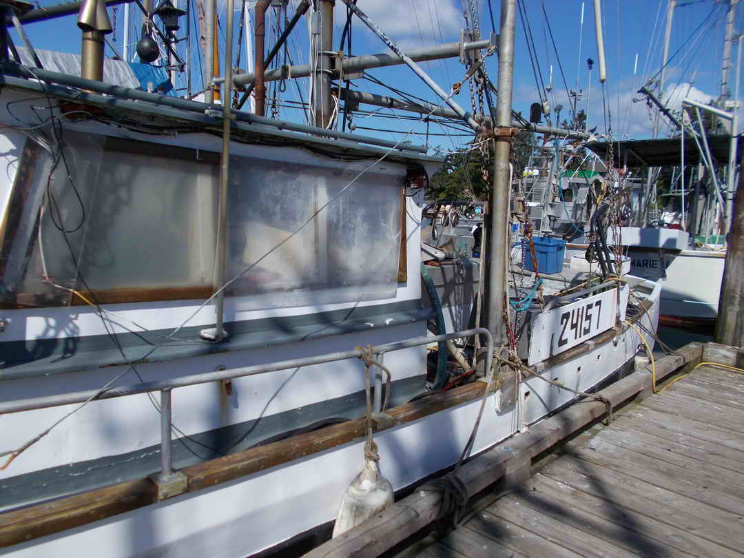 Troller Shrimp Trawler image 8