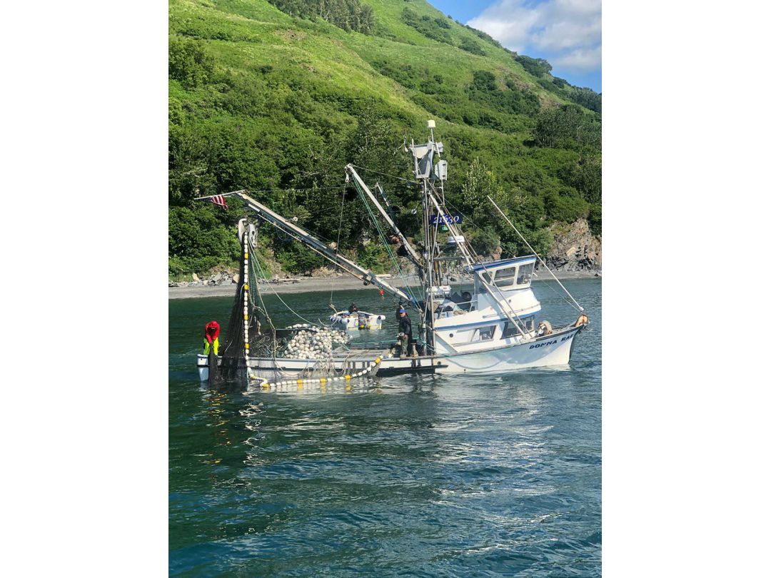 Fiberglass Salmon Seiner image 2