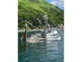 Fiberglass Salmon Seiner thumbnail image 2