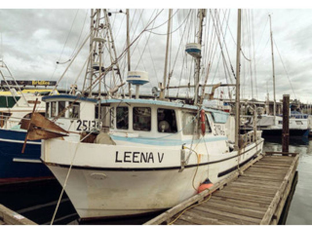 Commercial Fishing Boats For Sale Texas  Fishing boats for sale, Fishing  pontoon boats, Used fishing boats