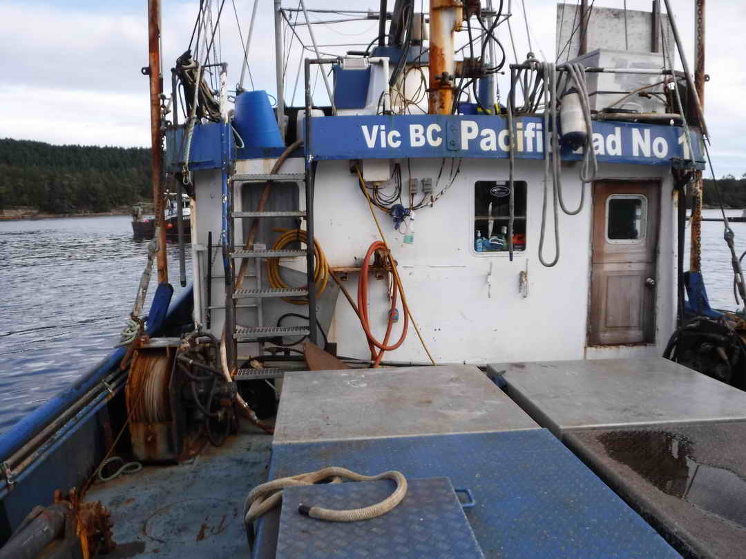 Tuna Shrimp Trawler Longliner