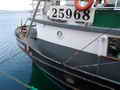 Trawler Groundfish Shrimp Boat thumbnail image 5