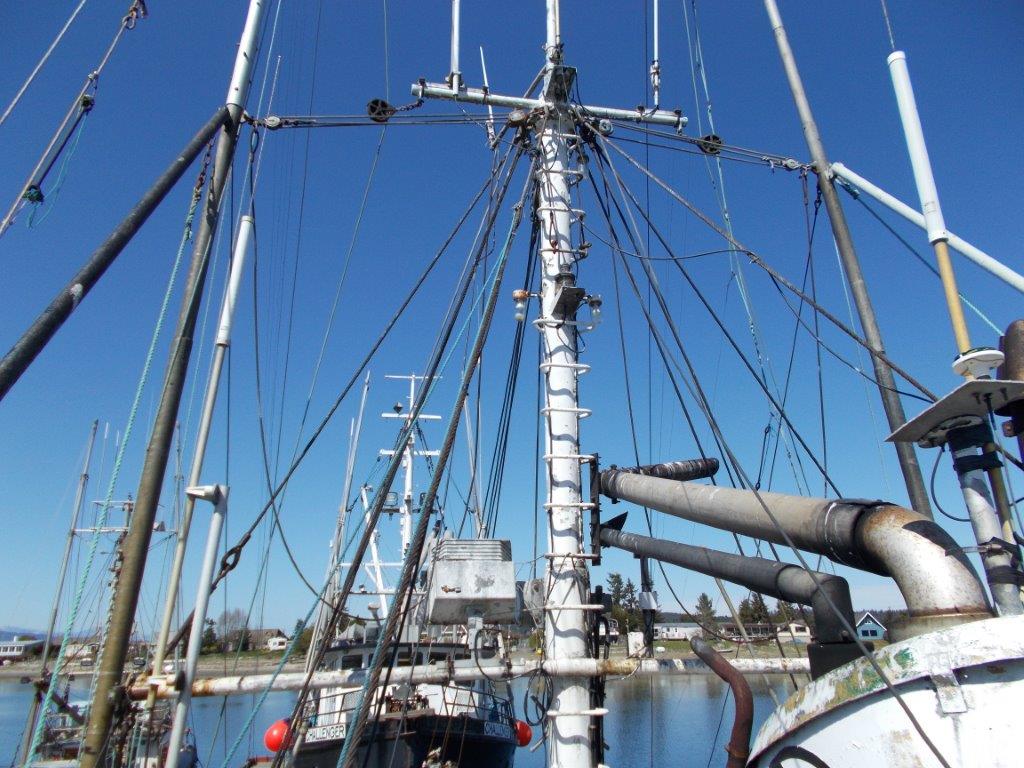 Shrimp Trawler Longliner Tuna Boat image 7