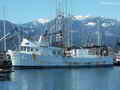 Shrimp Trawler Longliner Tuna Boat thumbnail image 0