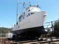 Shrimp Trawler Longliner Tuna Boat thumbnail image 30
