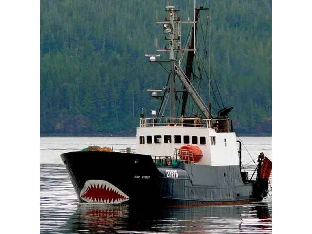 Steel Trawler image 1
