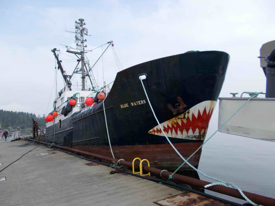 Steel Trawler image 2
