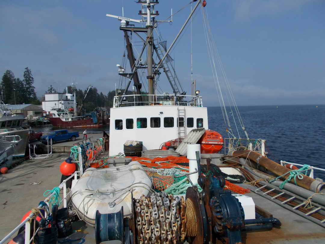 Steel Trawler image 7