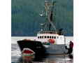 Steel Trawler thumbnail image 1
