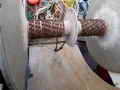Steel Trawler thumbnail image 16