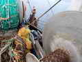 Steel Trawler thumbnail image 17