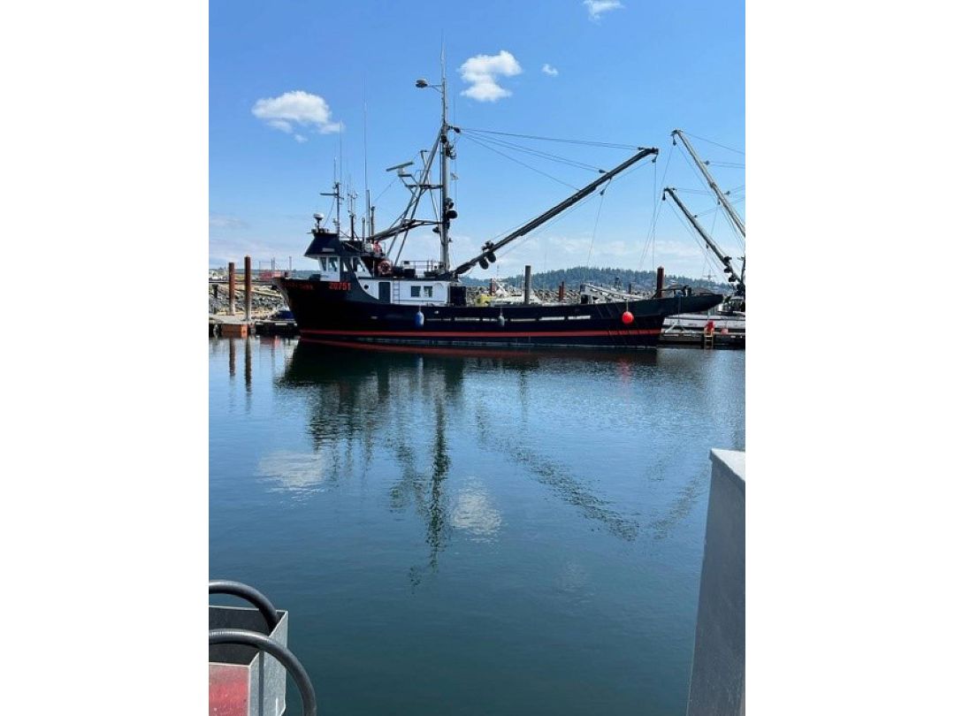 Steel Fish Boat image 1