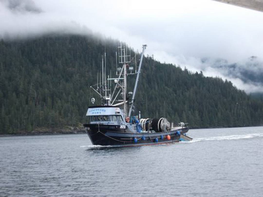 Steel Fish Boat image 7