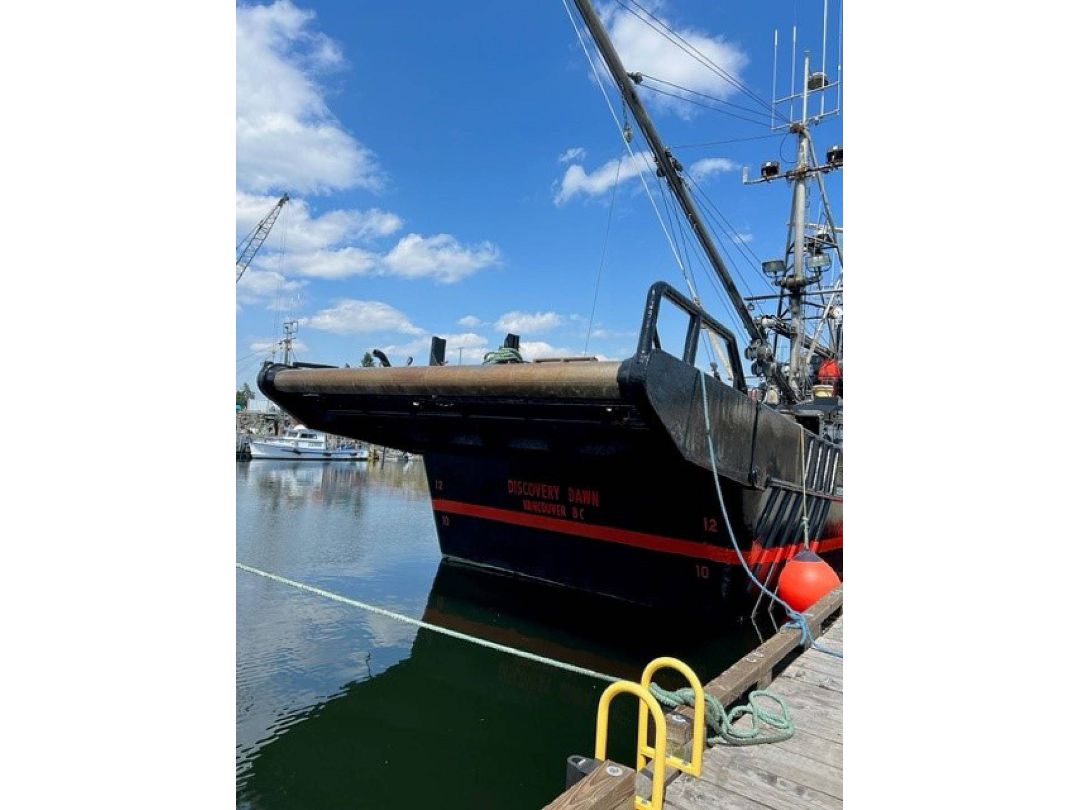 Steel Fish Boat image 8