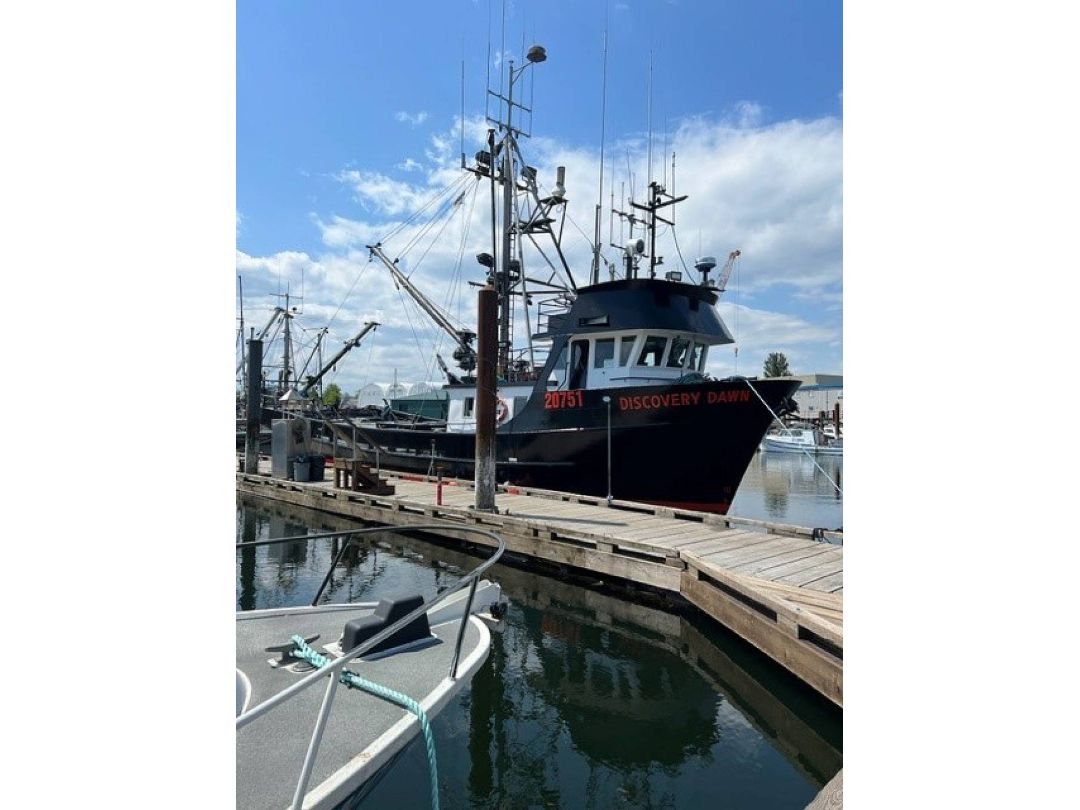 Steel Fish Boat image 10