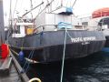 Steel Trawler thumbnail image 2