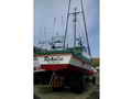 Wood Troller thumbnail image 1
