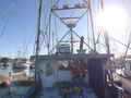 Wood Troller thumbnail image 3