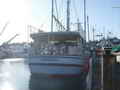 Prawn Tuna Boat thumbnail image 3