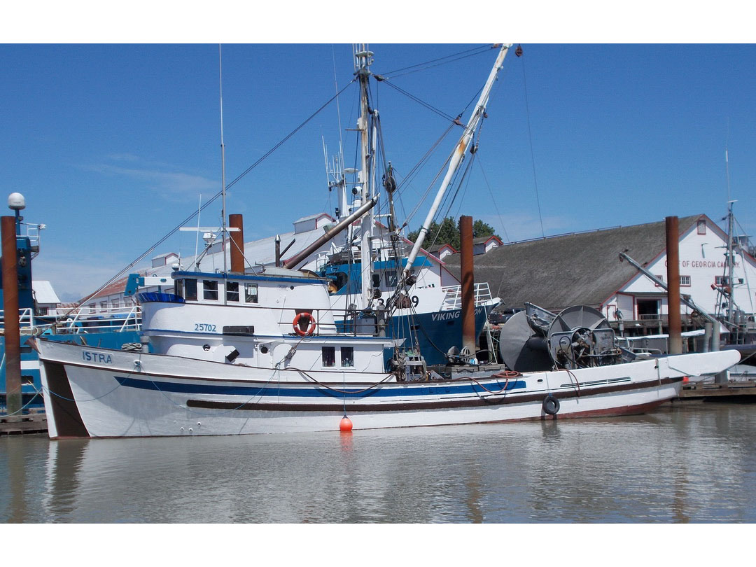 Seiner image 0