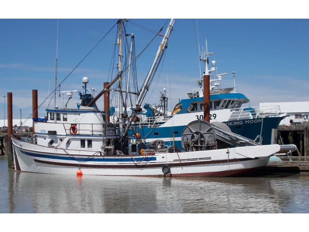 Seiner image 1