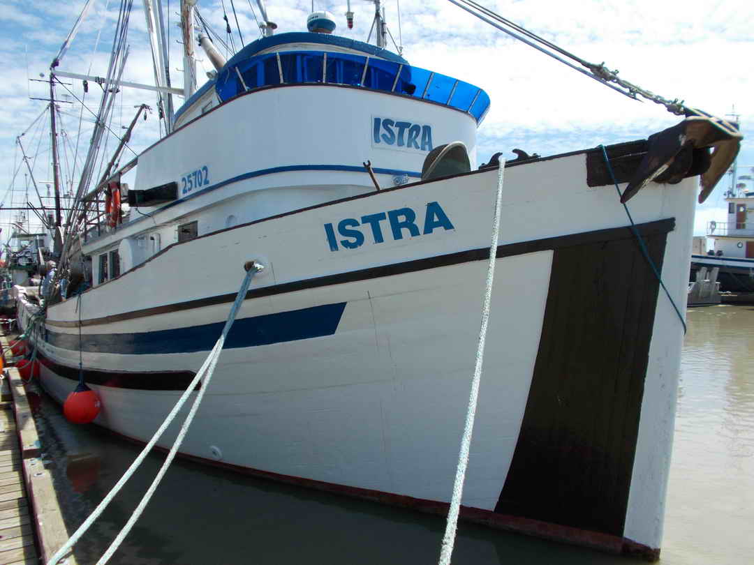 Seiner image 2