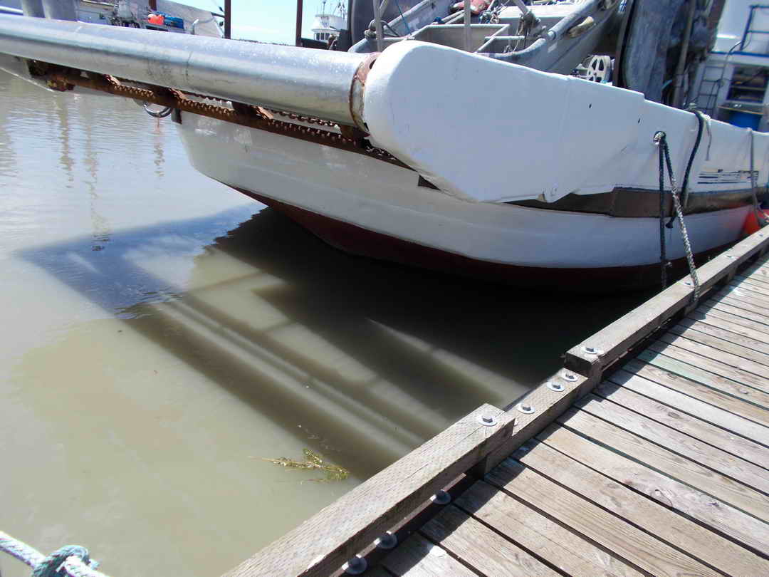 Seiner image 3