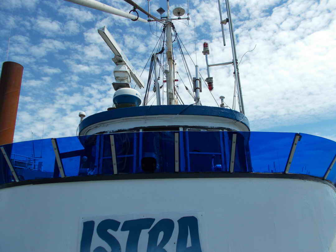 Seiner image 5