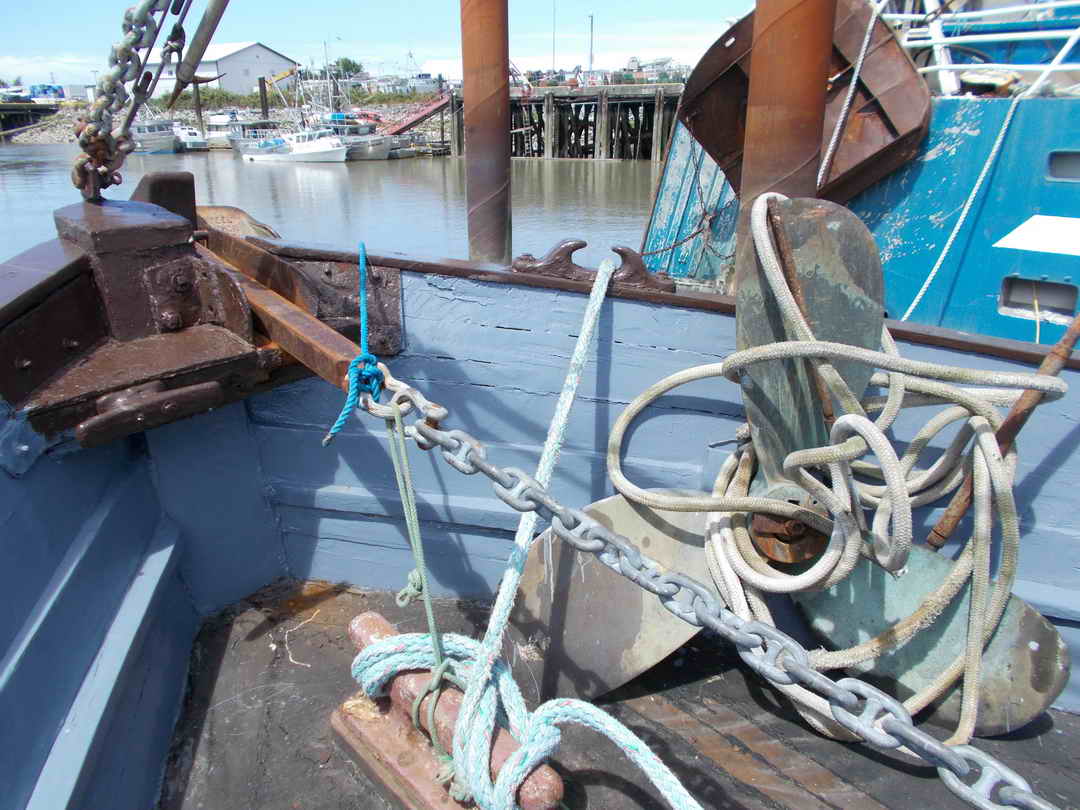 Seiner image 9