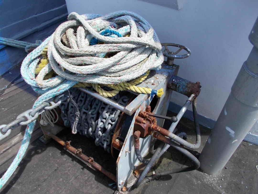 Seiner image 10