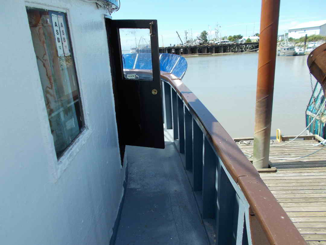 Seiner image 11