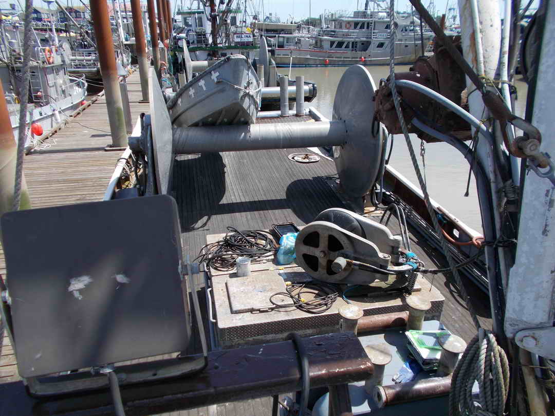 Seiner image 12