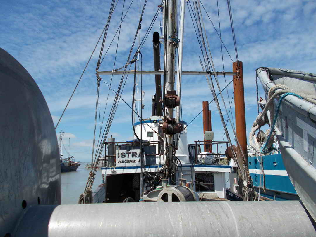Seiner image 13