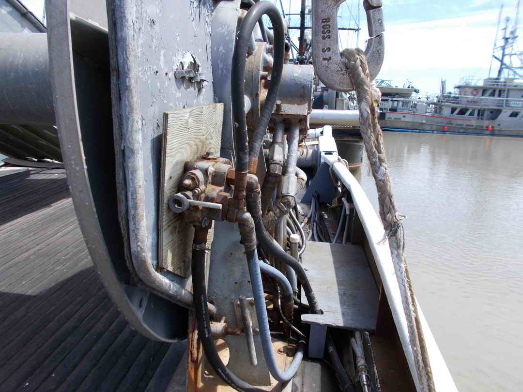Seiner image 14