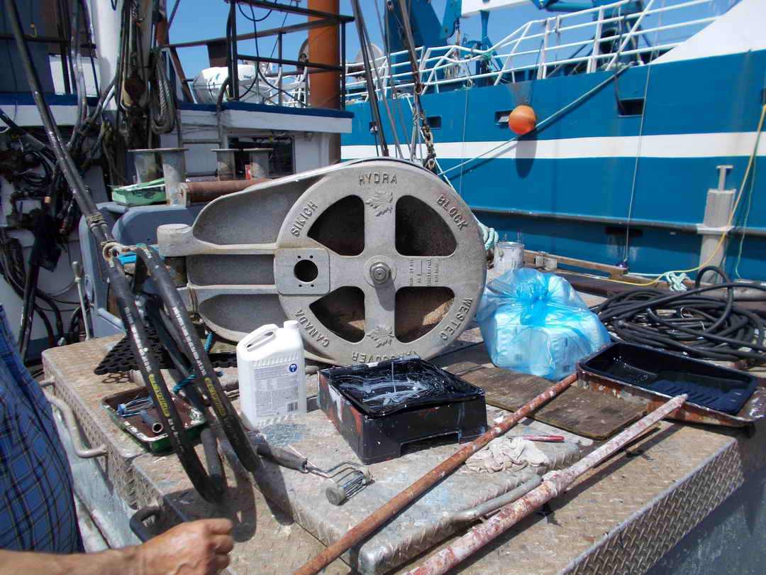 Seiner image 16