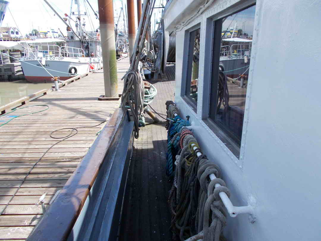Seiner image 20