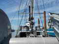 Seiner thumbnail image 13