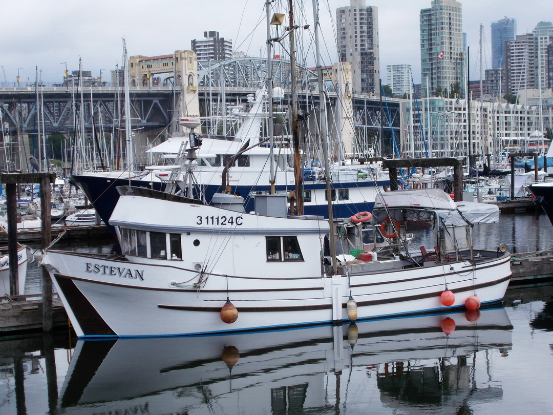 Tuna Freezer Troller Trawler image 0