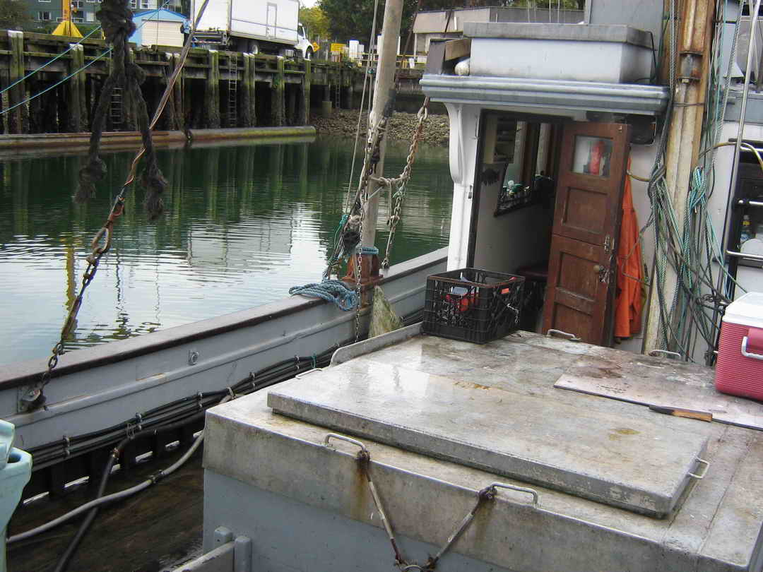 Tuna Freezer Troller Trawler image 16