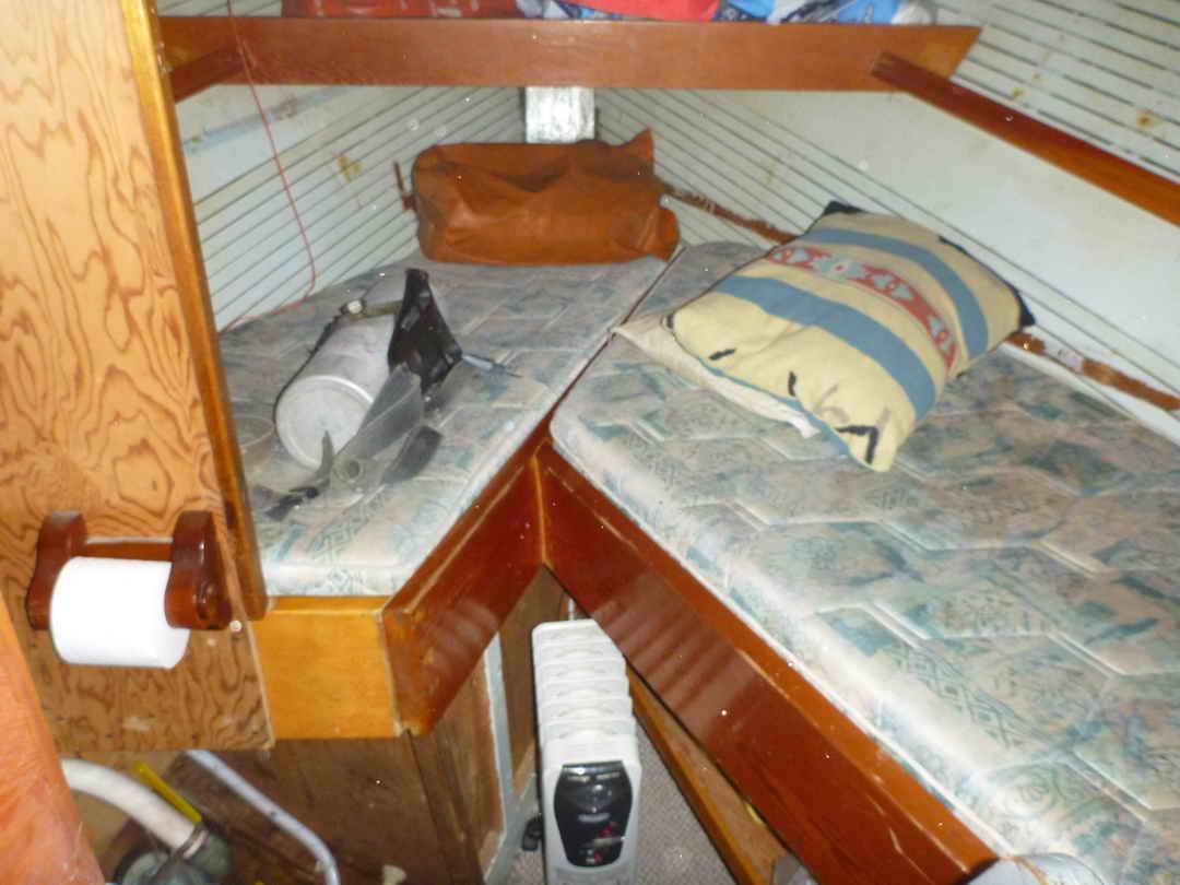 Freezer Prawn Boat image 26