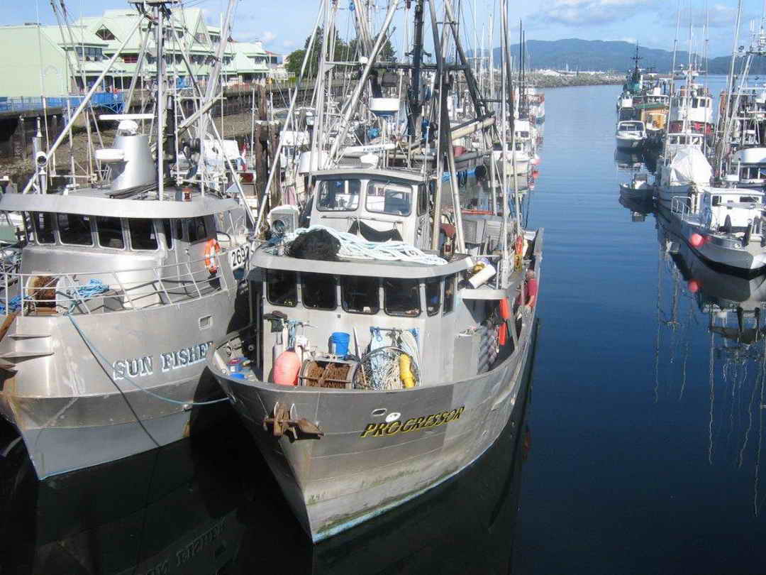 Aluminum Shore Built Seiner Longliner image 2