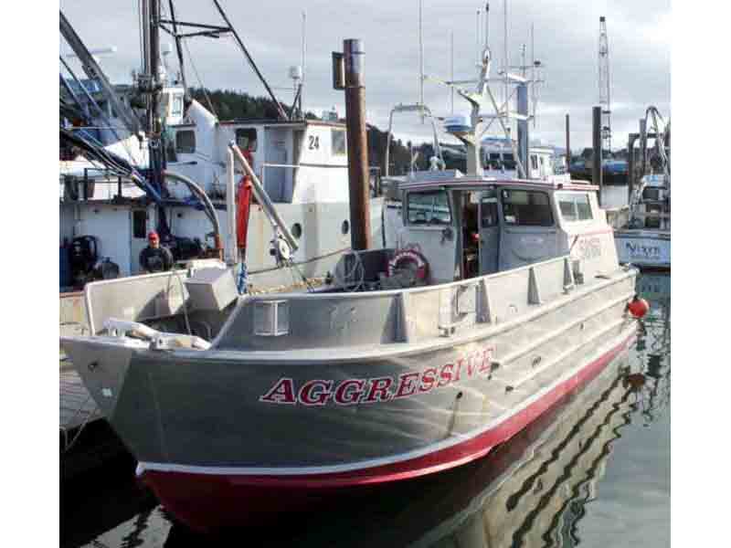 Salmon Combo Fishing Boat image 0
