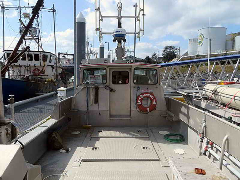 Salmon Combo Fishing Boat image 4