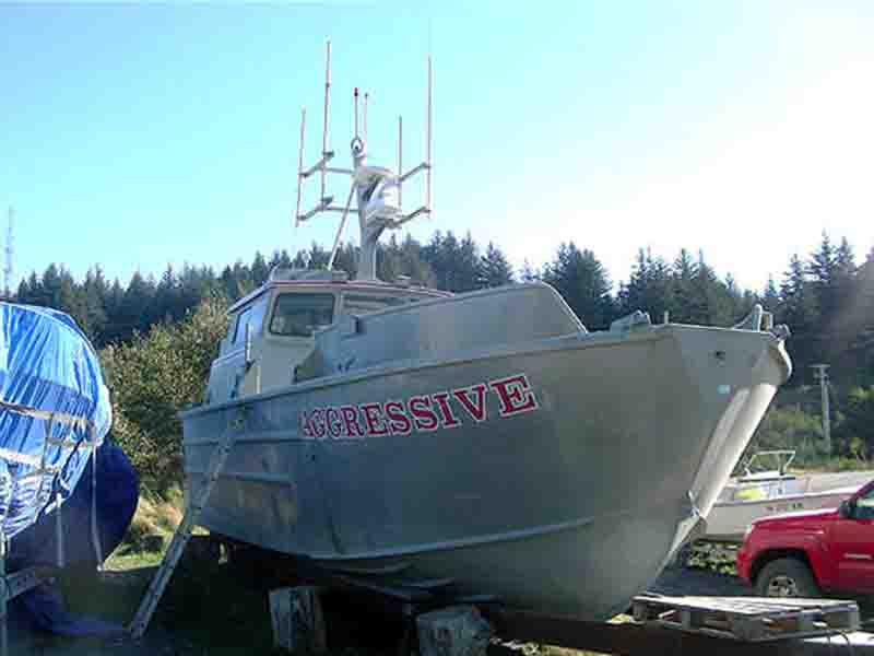 Salmon Combo Fishing Boat image 8