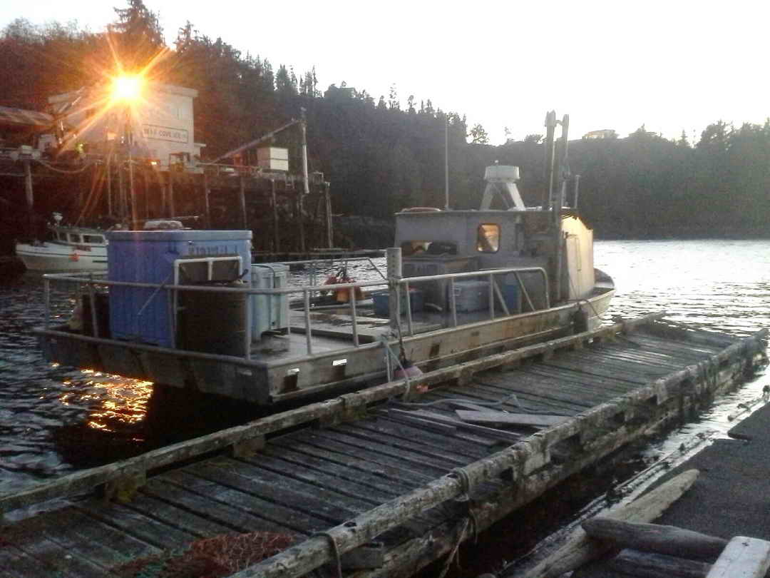 Queensboro Crab Dive Boat image 2