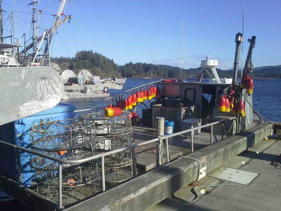 Queensboro Crab Dive Boat image 3