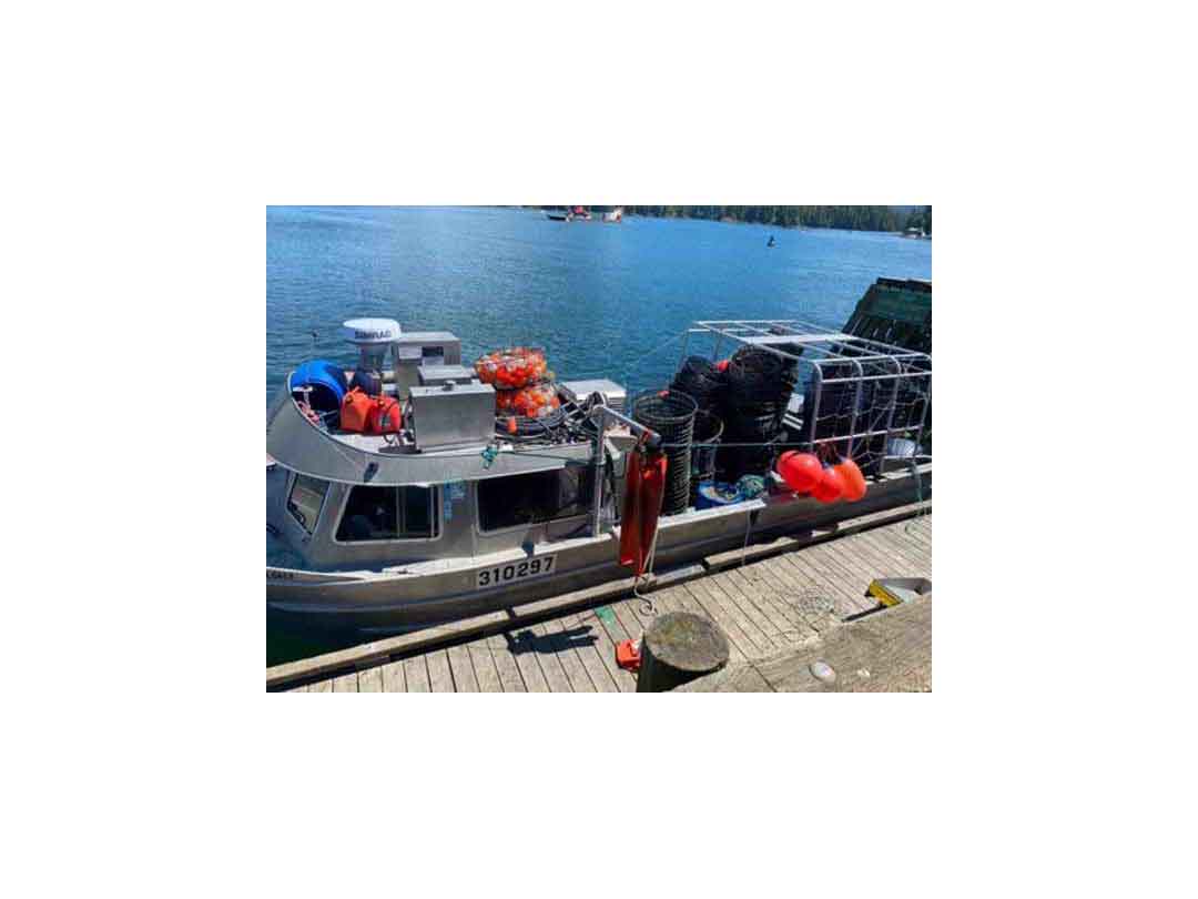 Raider Crab Prawn Boat image 3