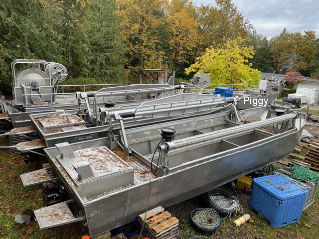 Herring Skiff image 1