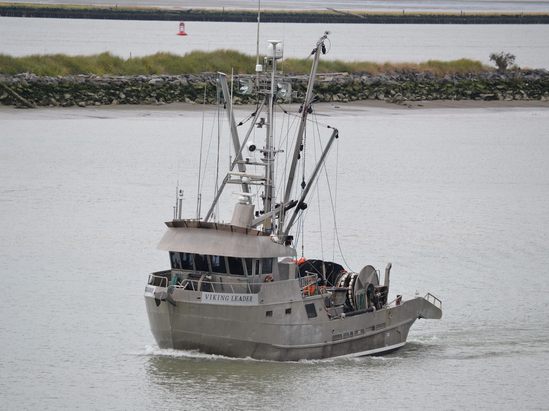 Shore Seiner image 1